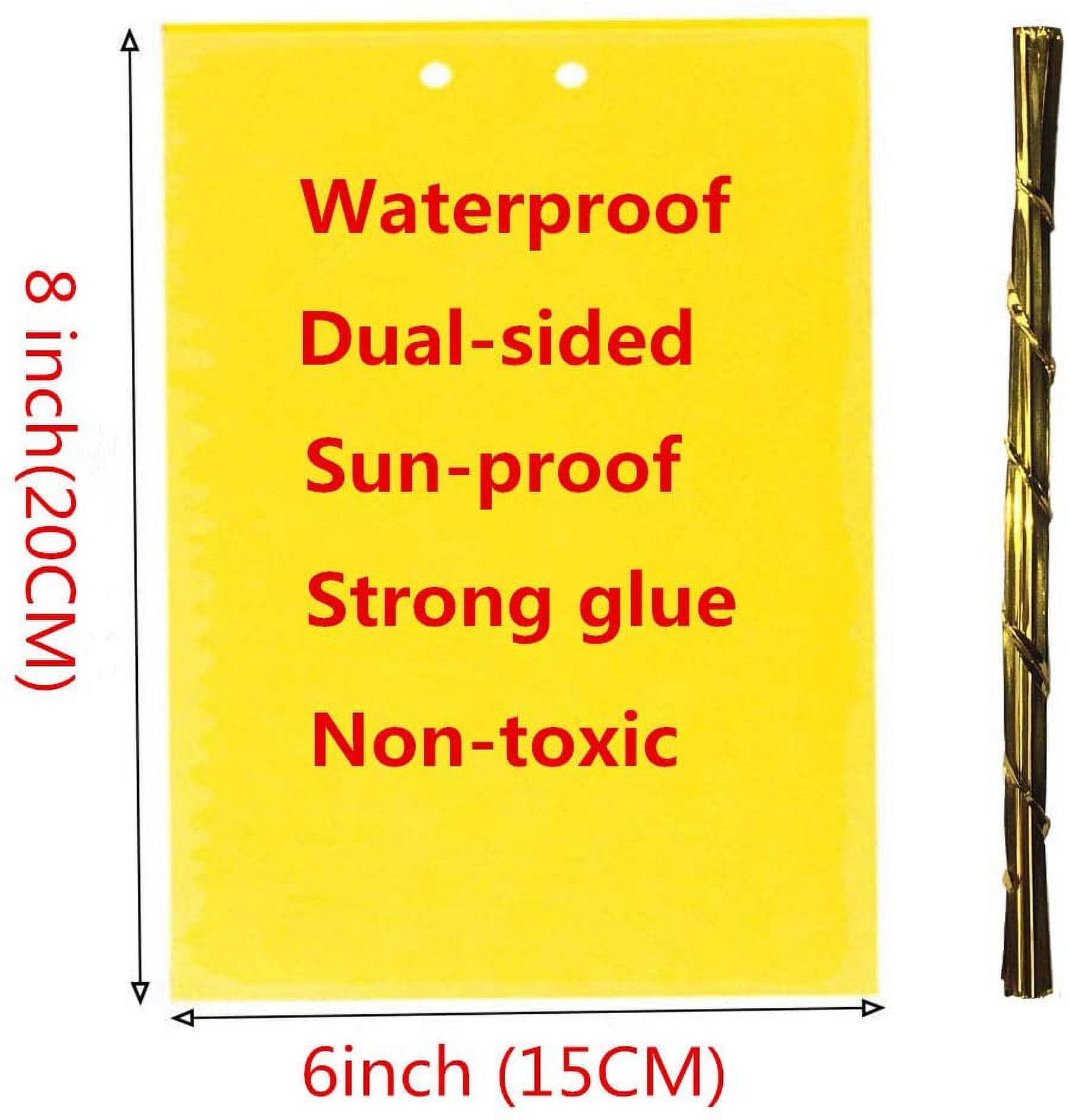 3 x 5 Double-Sided Yellow Sticky Card Insect Traps – Catchmaster