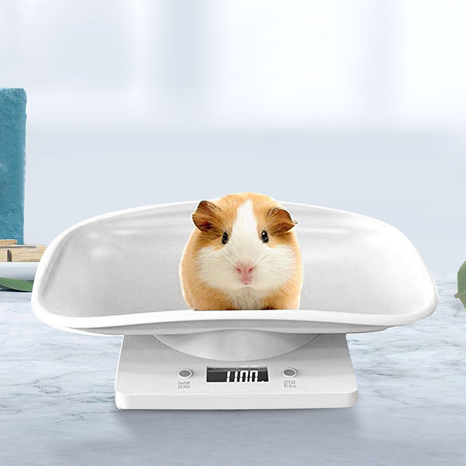 Bcloud Food Scale Detachable Large Capacity Smooth Surface Kitchen