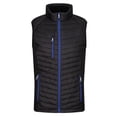 thumbnail image 1 of Regatta Professional Mens Quilted Hybrid Gilet, 1 of 3