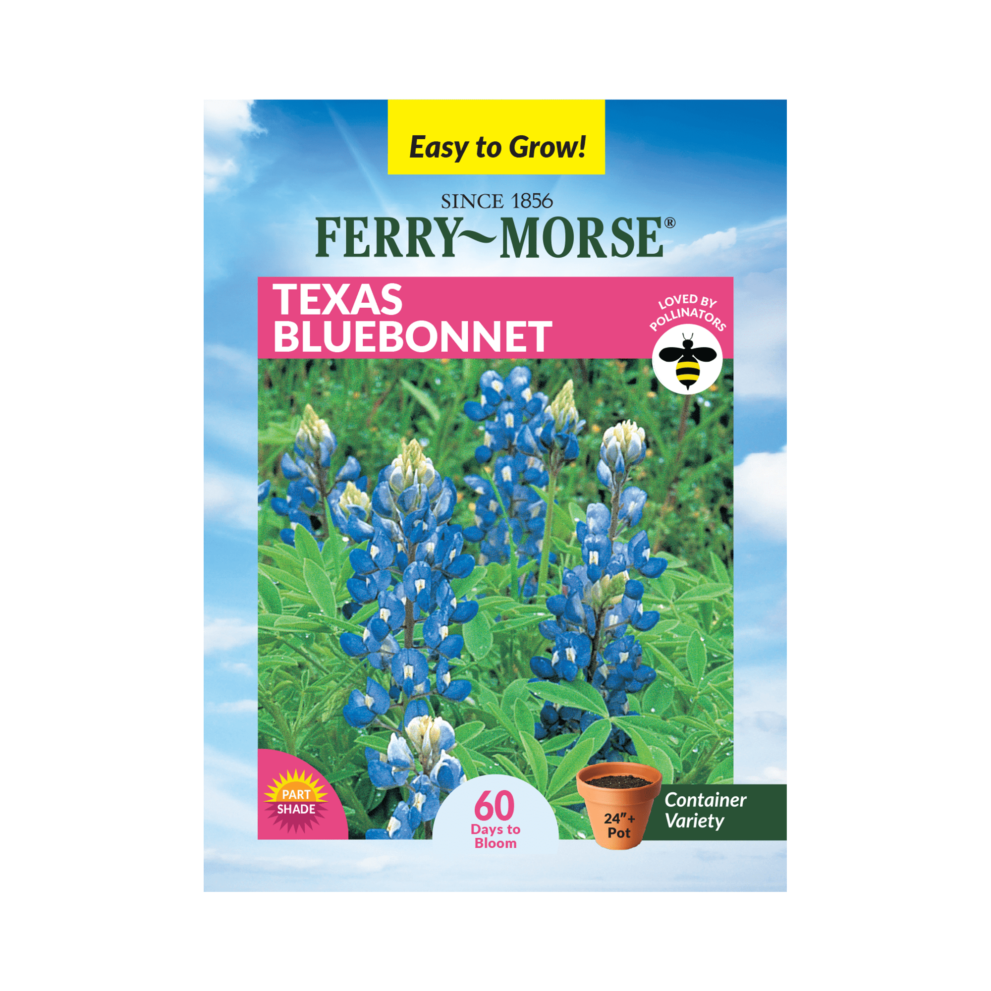 Native Wildflower Seeds For Garden Texas Bluebonnet Wildflower Seeds  Bulk  1/2 Ounce Pack (500+ Seeds)  Texas State Flower, Native Perennial,  Attracts Pollinators, Easy Grow