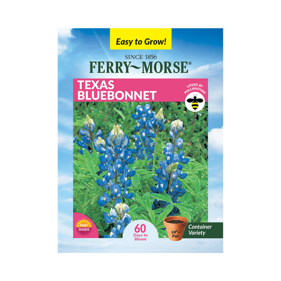 Ferry-Morse 700MG Texas Bluebonnet Annual Flower Seeds, Full Sun
