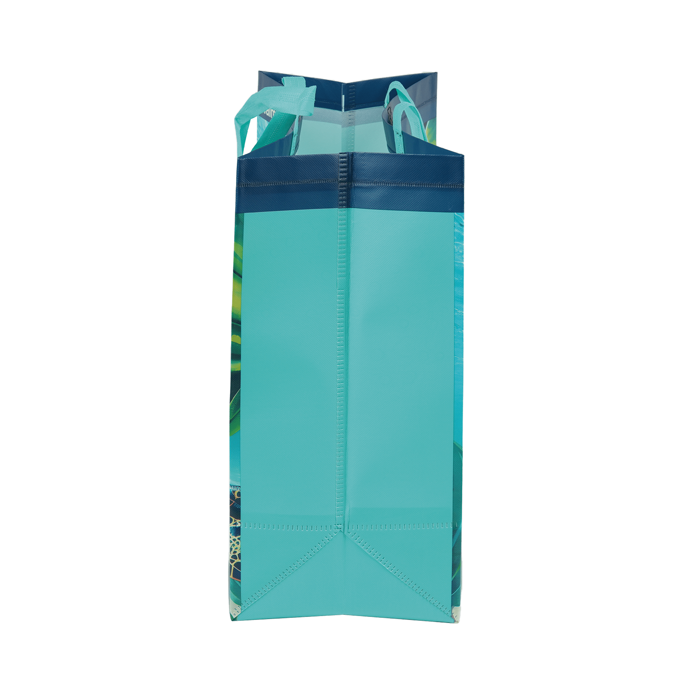 Great Value Gv Reusable Bag Tinglar