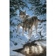 thumbnail image 3 of Wild Wings Icy Dawn by Persis Clayton Weirs Framed Painting Print, 3 of 3