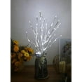 thumbnail image 3 of 1 PC White Birch Branch Light LED Festive Lights Battery Operated For Christmas Party Wedding Decoration Twig Outdoor Lights, 3 of 8