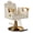 Beige-Gold, variant on KIGOTY Salon Chair for Hair Stylist, Reclining Salon Chair, Professional Styling Salon Chairs with Heavy Duty Hydraulic Pump, 440LBS,All Black