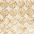 thumbnail image 4 of Capiz Disc Placemat (Set of 4), 4 of 5