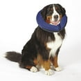 thumbnail image 3 of Total Pet Health TP3630 24 19 Inflatable Collar Xlg Blue, 3 of 3