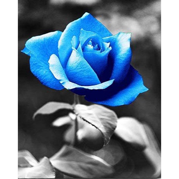 11CT Impreso Completo Bordado Azul Rosa Costura DIY Kit de punto de cruz para el hogar Tmvgtek Arte deco