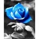 thumbnail image 1 of 11CT Impreso Completo Bordado Azul Rosa Costura DIY Kit de punto de cruz para el hogar Tmvgtek Arte deco, 1 of 9