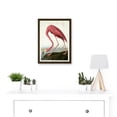 thumbnail image 2 of Painting Nature Audubon American Flamingo A4 Artwork Framed Wall Art Print, 2 of 4
