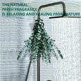thumbnail image 3 of NOGIS Dried Eucalyptus for Shower, 17" Natural Fresh Green Eucalyptus Plant, Real Eucalyptus Leaves Branches, Eucalyptus Stems for Flower Arrangement, Green Bathroom Decor, Home Decor (20 Pcs), 3 of 7