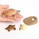 thumbnail image 4 of de de simución modelo Animal tortuga Animal de accesorios de enseñanza juguete educativo - Tortuga 2423 2423 Hugo Juego de crecimiento de insectos para niños, 4 of 9
