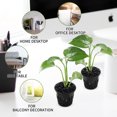 thumbnail image 3 of MERRYHAPY 40Ud Red De Plantación Hidropónica Plástico Para Y Plantar En Interior Y Exterior, 3 of 7