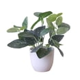 thumbnail image 1 of Fresh Fresh Artificial Foliage Desktop Plant Potted Mall, 1 of 10