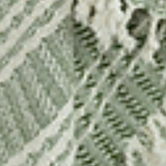 HomeRoots 50 x 50 x 0.5 in. Woven 100 Percent Cotton Throw Blanket - Green