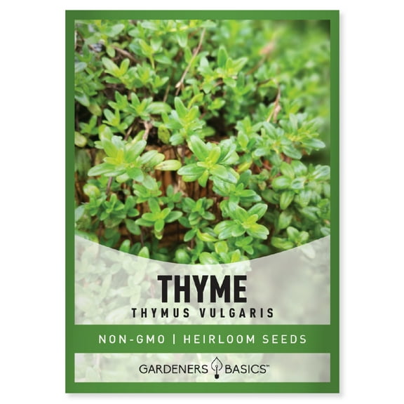 Winter Thyme Seeds