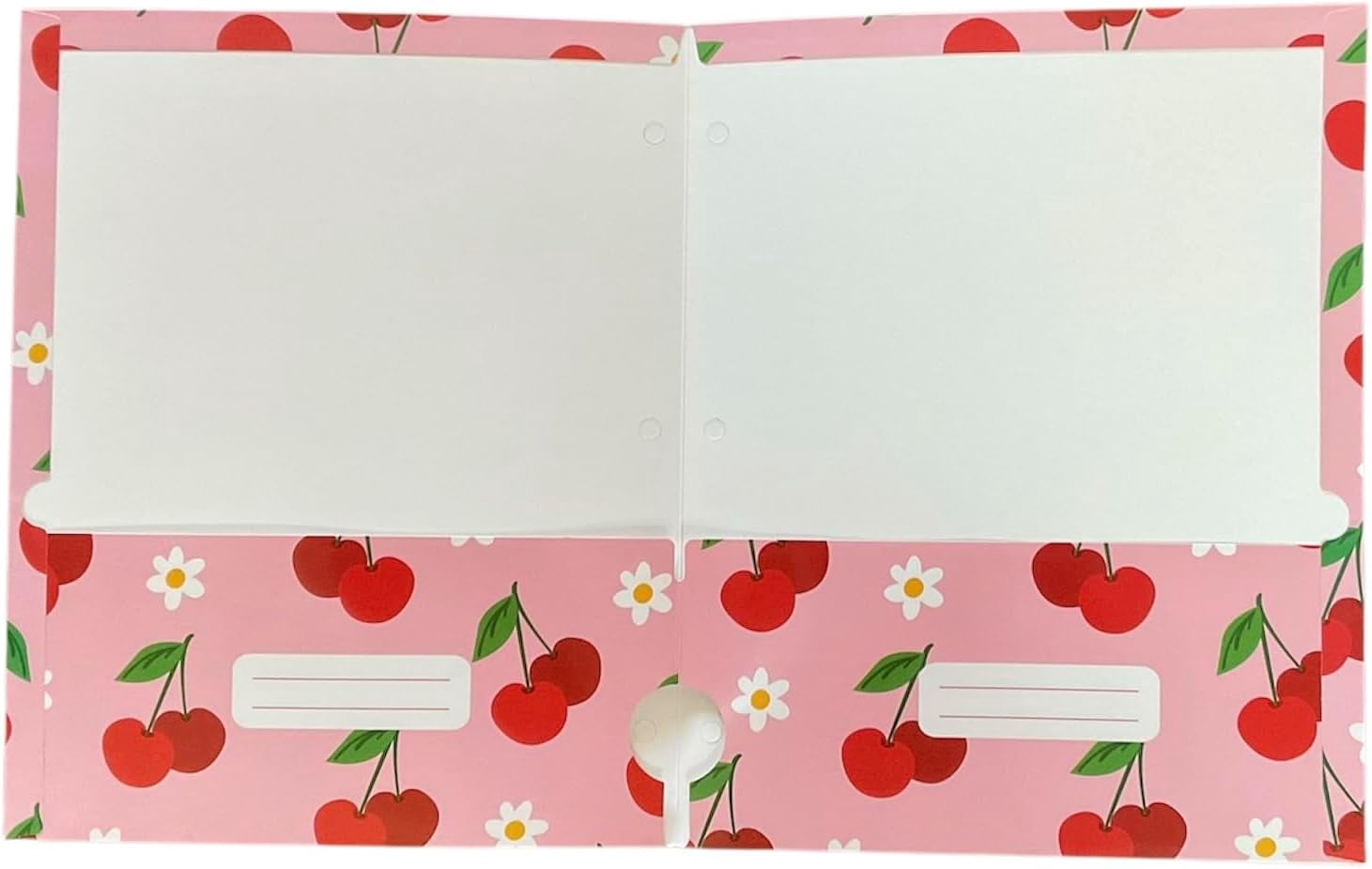 Back to School 2 Pocket Folders Hearts, Flowers, Cherries, Rainbows  Set of 4  Elementary Grade School