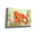 thumbnail image 2 of Epic Graffiti 'Summer Glow' by Mandy Disher, Giclee Canvas Wall Art, 40"x26", 2 of 8