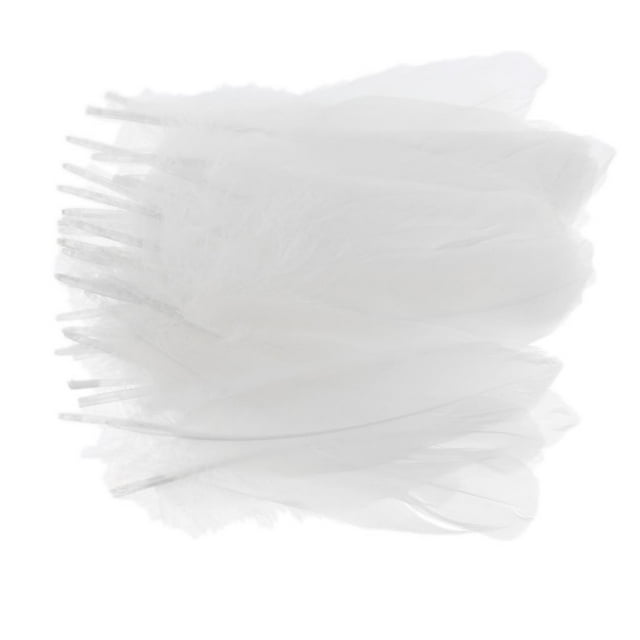 50 plumas de colores surtidos para manualidades y disfraces. Blanco