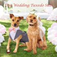thumbnail image 2 of HQREA Dog Tuxedo Suit Formal Wedding Shirt with Bow Tie Holiday Wear for Boy Dogs, 2 of 6