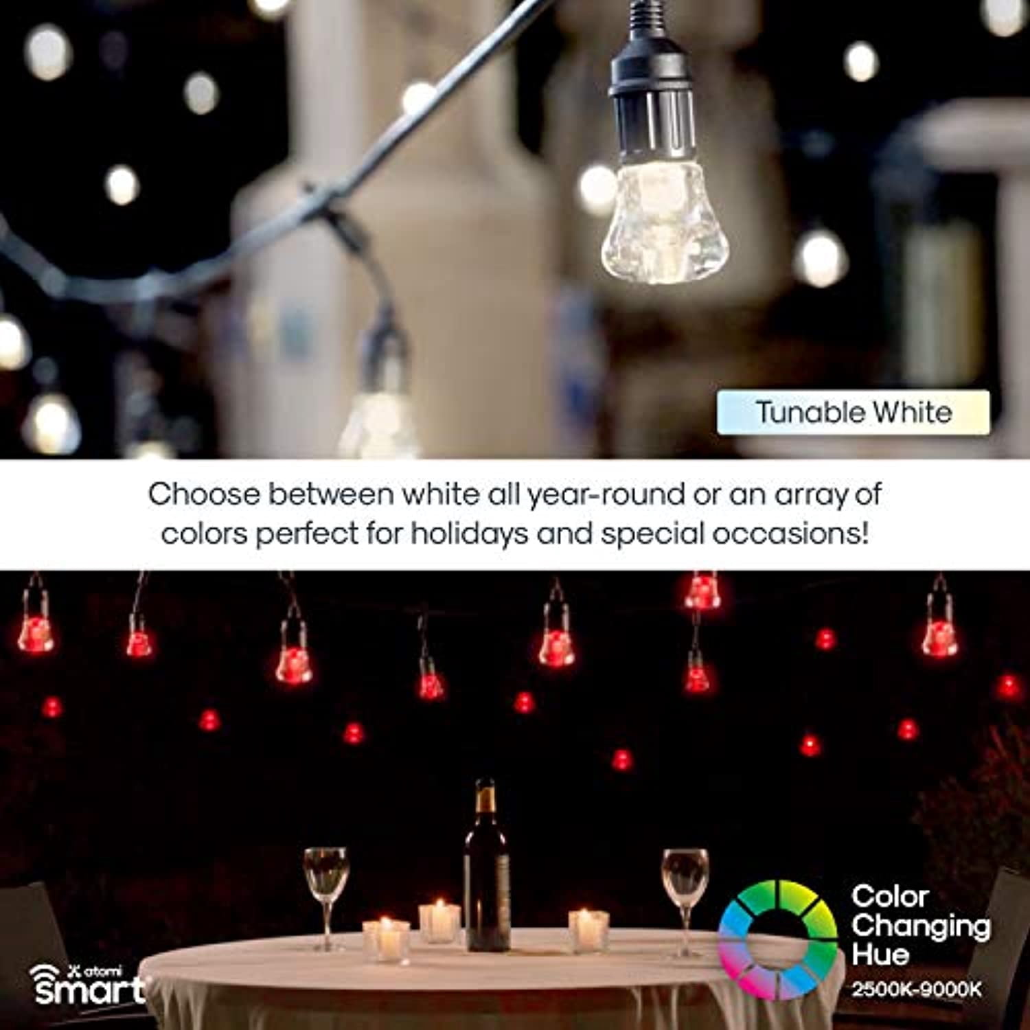 Atomi Smart 24' LED Color String Lights