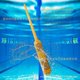 thumbnail image 4 of Hot Tub Spa Mineral Sticks, Cleaning Cartridge Sticks, 4 of 5