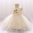 thumbnail image 4 of Peyan 3-24M Infant Newborn Baby Girl Princess Dress Birthday Party Christmas Formal Tutu Sleeveless Dresses, 4 of 8