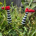 thumbnail image 2 of Halloween Planter Inserts, Coordinated Witch Leg Decorations Featuring Striped Design, Red Shoes, Greenery Placement, Tabletop Scenes and Party Displays, 2 of 9