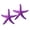 Purple, variant on wutoase 2 Pcs Mini Resin Starfish, Tiny Summer Ocean Decor, Figurine for Fairy Garden Ornament, Miniature DIY Crafts, Beach Party & Home Decoration