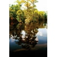 thumbnail image 2 of Alan Hausenflock 13x18 Gallery Wrapped Canvas Wall Art Titled - Still Water I, 2 of 4