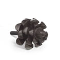 thumbnail image 3 of Pinecone Knob, 3 of 3