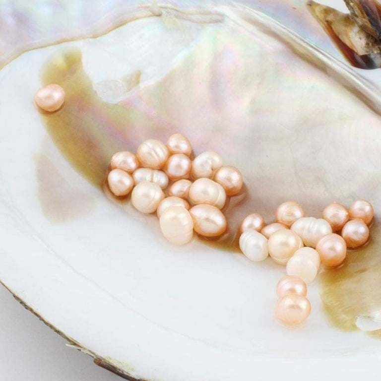 Oyster 2024 pearl jewelry