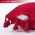 thumbnail image 4 of 2 Pcs Velvet Throw Pillow Case with Tassels, Boho Throw Pillow Cover Decor Cushion Covers, 4 of 8
