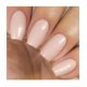 thumbnail image 5 of Tammy Taylor A+ Esmalte de uñas en gel sin limpiar | Sellador Acrílico Profesional con Protección UV | Gel de acabado de manicura que se seca al aire en 30 segundos | Esmalte en gel transparente de al, 5 of 5