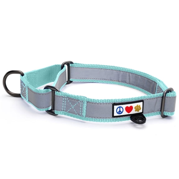 Pawtitas Martingale Dog Collar Puppy Collar Reflective Dog Collar Training Dog Collar Dog Collar Small Dog Collar Teal Dog Collar