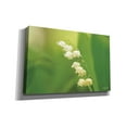 thumbnail image 2 of Epic Graffiti 'Lily of the Valley' by Martin Podt, Canvas Wall Art, 40"x26", 2 of 2