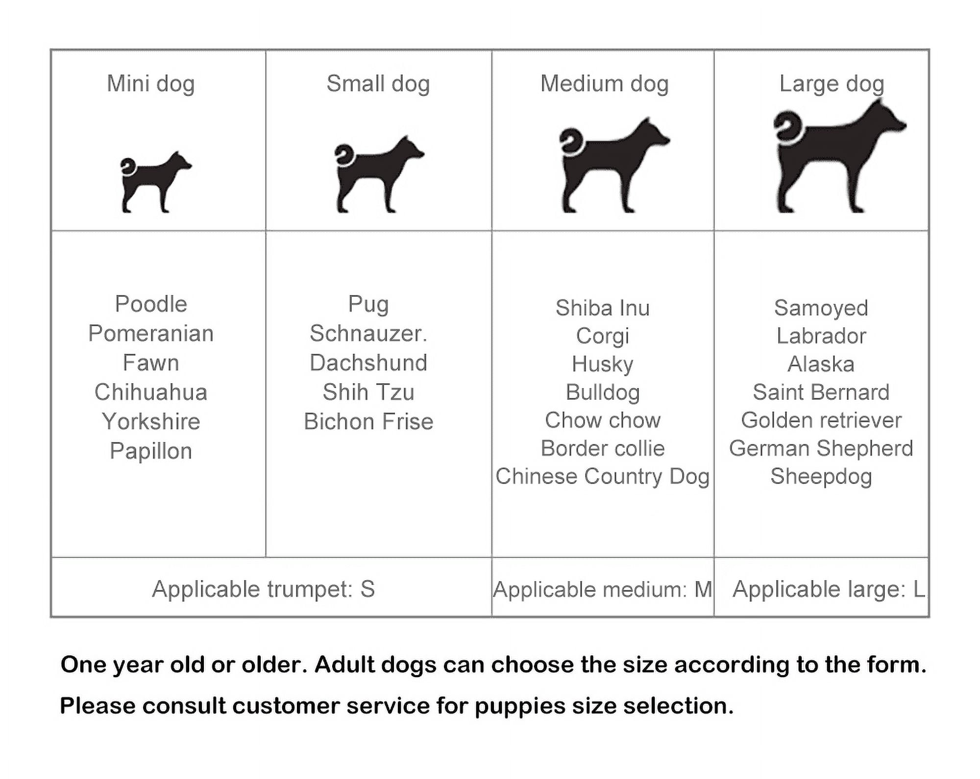 GIGWI Pet Toys G-Ball Toys S / M / L Series Transparent Interactive Dog Ball Toy for Dogs Bite Resistance Elasticity Dog Toy