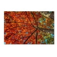 thumbnail image 2 of Trademark Fine Art "New York Fall-II" Canvas Art by David Ayash, 2 of 4