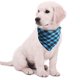 thumbnail image 3 of Conjunto de separación de collar para cachorro y capucha con campana, pajarita a cuadros ajustable y bufanda con capucha triangular, 3 of 5
