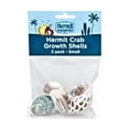 thumbnail image 3 of Fluker's Hermit Crab Growth Shells, Small (Pack of 3), 3 of 3