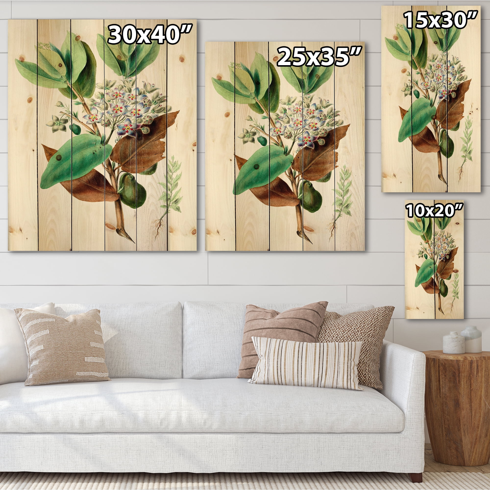 Designart 'Ancient Plant Life XXVIII' Traditional Print on Natural Pine Wood