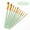 Green GN, variant on Iumwxz stationary 10PCS Artist Watercolor Painting Brushes Brush Oil Acrylic Watercolor Painting Office supplies Blue wood Rollbacks on Essentials