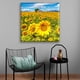 thumbnail image 2 of Cuadro Pixtreats listo para Colgar tipo galería Campo de Girasoles 40X40 cm, 2 of 4