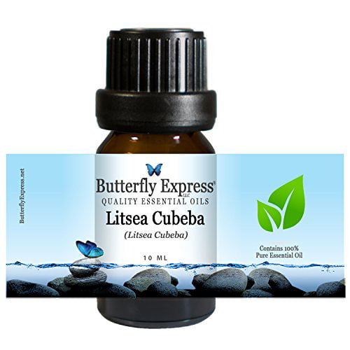 Litsea Cubeba Essential Oil 10ml - 100% Pure - by Butterfly Express