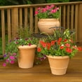 thumbnail image 4 of FRCOLOR 1 Set Plants Support Stakes Half Round Garden Stakes Stackable Plants Support Climbing Plants Cages For Potted Plant Tomatoes Peony, 4 of 8
