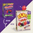thumbnail image 3 of Funables Fruity Snacks, Mixed Berry Flavored Snacks, 0.8 Ounce Pouches, 40 Count, 3 of 11