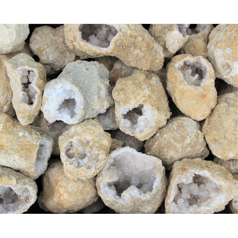 Wilson Geodes Geodes For Adults Two XL Whole Break Your Own Geodes Store For ...
