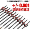 thumbnail image 3 of sanlida 12 PCs, 100% Pure Carbon, 0.001'' Straightness, Dragon 10 Flagship 24T Carbon Hunting Arrows for Compound Bow, Professional Standard Hunting Arrows with Removable Tips, 3 of 7