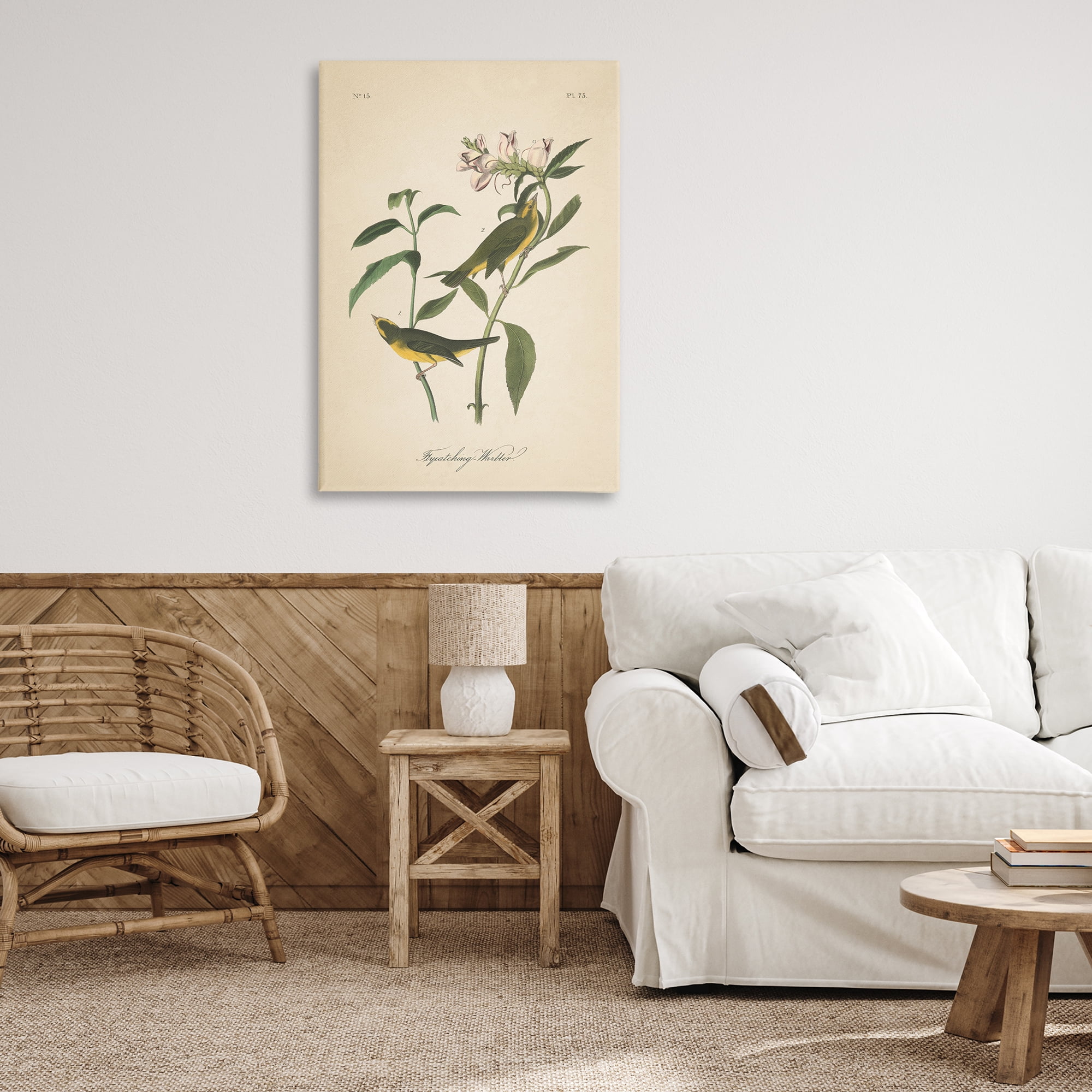 Stupell Industries Vintage Warbler Diagram Animals & Insects Painting Gallery Wrapped Canvas Art Print Wall Art, 24 x 36