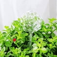 thumbnail image 3 of Self Watering Spike Creative Glass Drip Irrigation Plant Waterer Plant Spike, 3 of 6